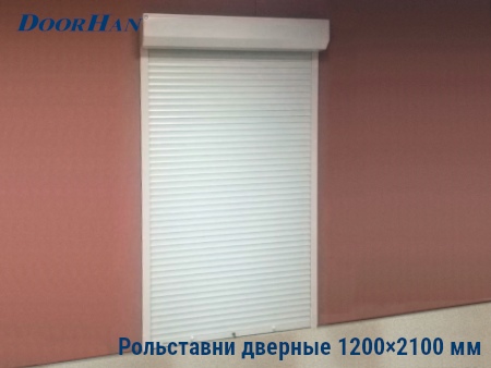 Рольставни на двери 1200×2100 мм в Томске от 34422 руб.